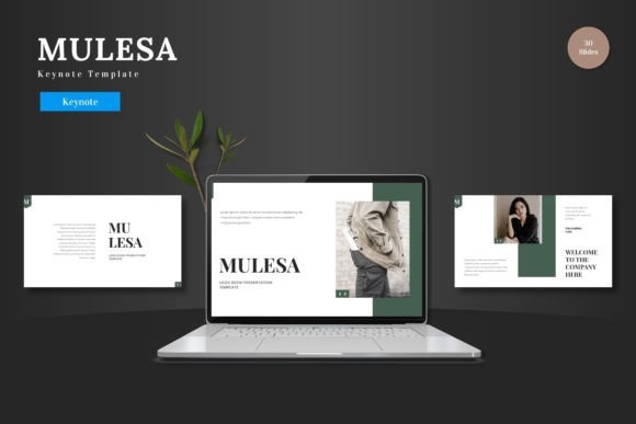 Mulesa - Keynote Template: Clean, Multipurpose Design